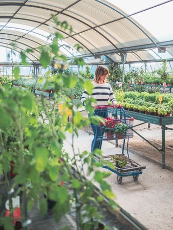 Female customer choosing flowers in greenhouse