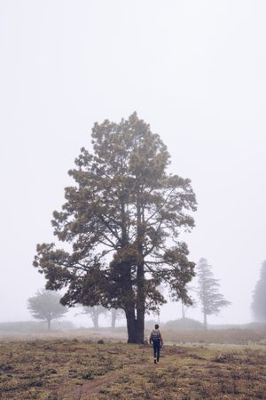 Hiker walking on foggy rural field