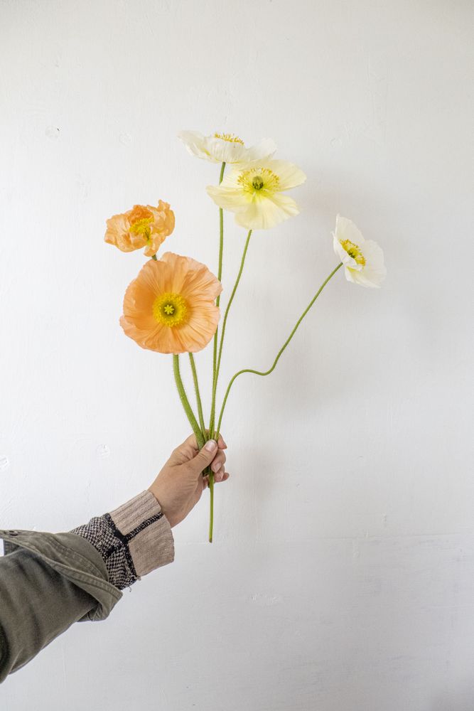 Hand holding orange and yellow flowers