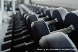 Row of dumbbells in the gym 0PLjl0