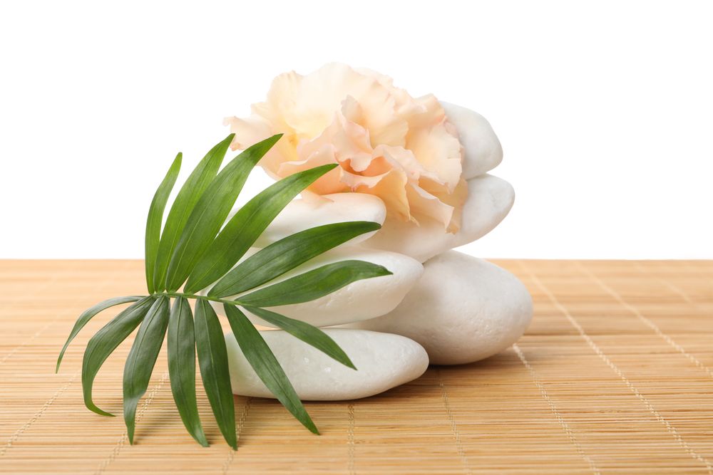 Stones, flower and tropical leaf, isolated on plain background