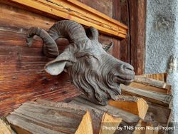 Mountain goat wooden carving in Rossiniere, VD 0KMy1N