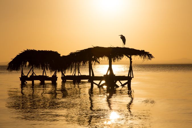 Laundry in sea at sunset