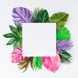 Multicolored tropical leaves on light background with square center