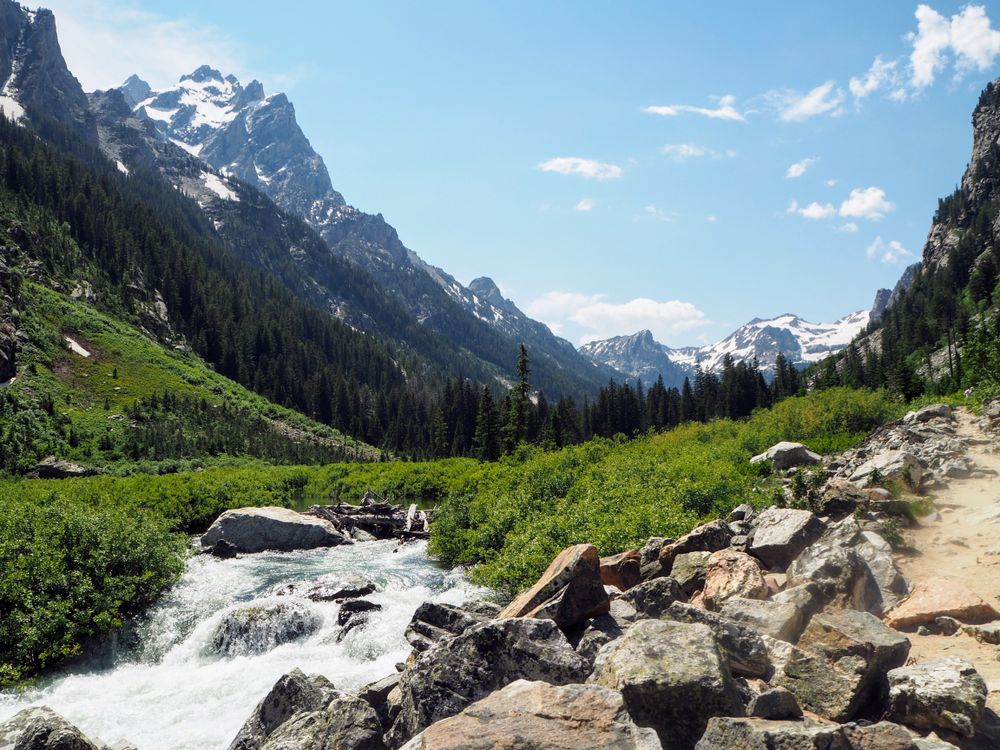 Mountain Majesty: Roaring River in Grand Teton National Park