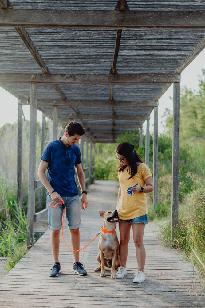 Happy adult couple playing with dog at countryside