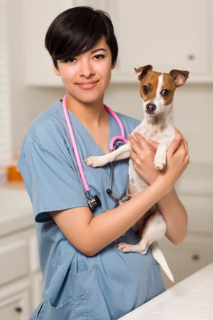 Smiling Veterinarian Doctor or Nurse with Puppy
