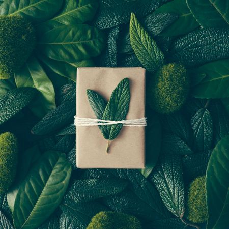 Creative layout made of green leaves with brown gift box