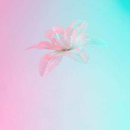 Flower in vibrant bold gradient holographic colors
