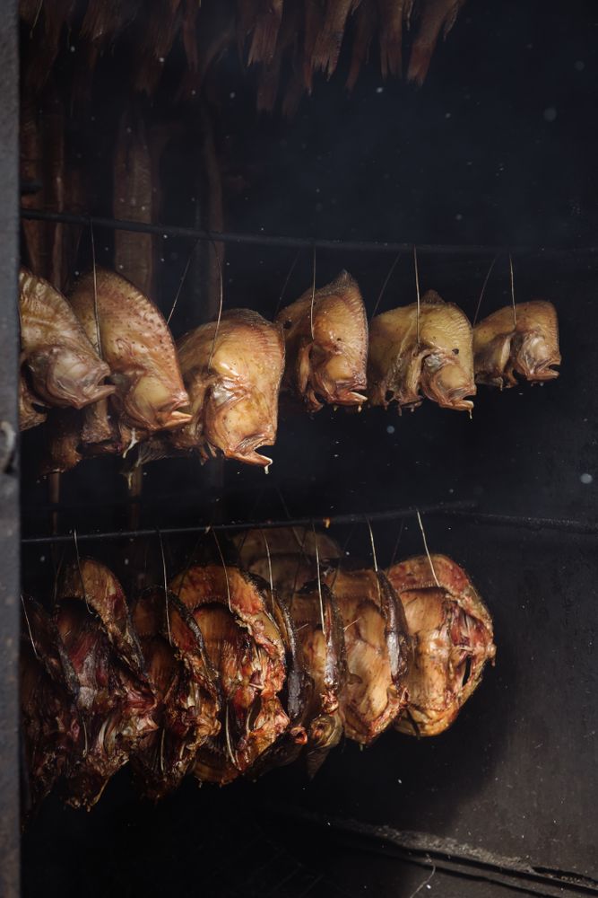 Rows of fish in smokehouse