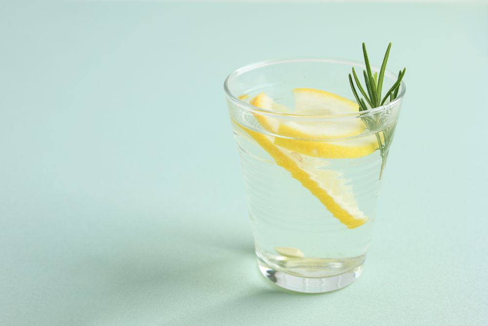 Glass of Gin Tonic with Lemon and Rosemary