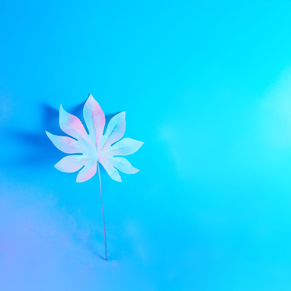Tropical leaf in vibrant bold gradient holographic neon  colors