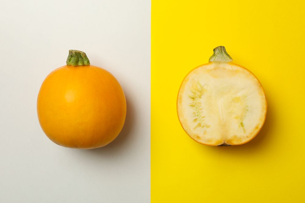 Round zucchini and half on two tone background