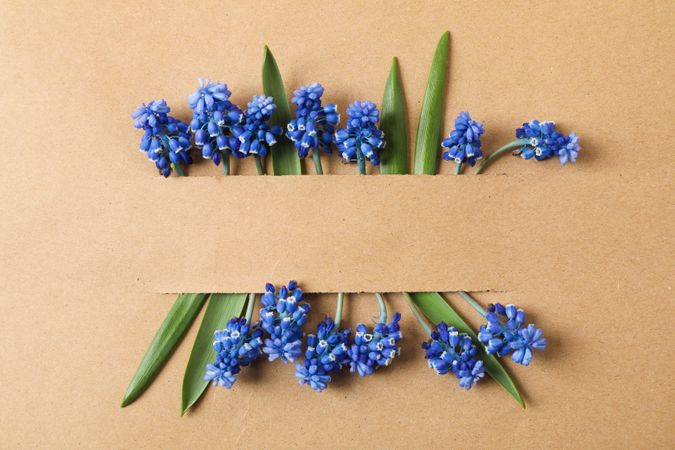 Beautiful hyacinths on craft background, space for text