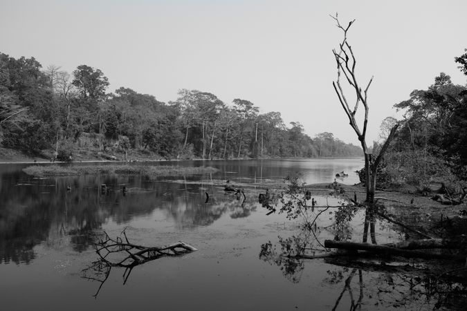 Monochrome image of landscape in Cambodia