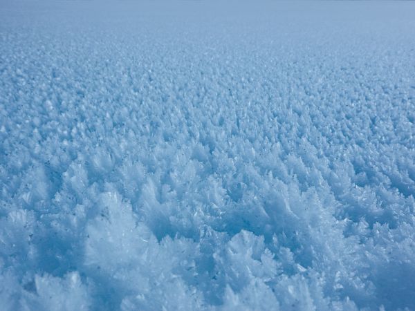 Hoar frost on snow in a pasture, Rougemont