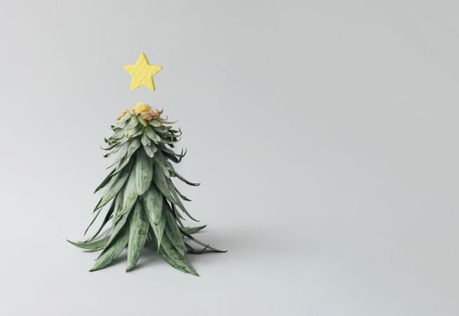 Christmas tree made of pineapple leaves and decoration