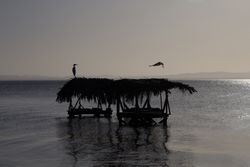 Laundry in sea at sunset