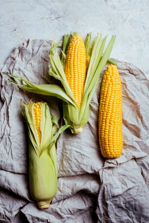 Phases of fresh corn peeling