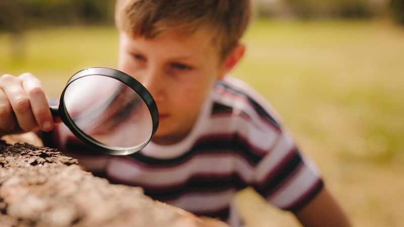 Boy with a magnifying glass at the park