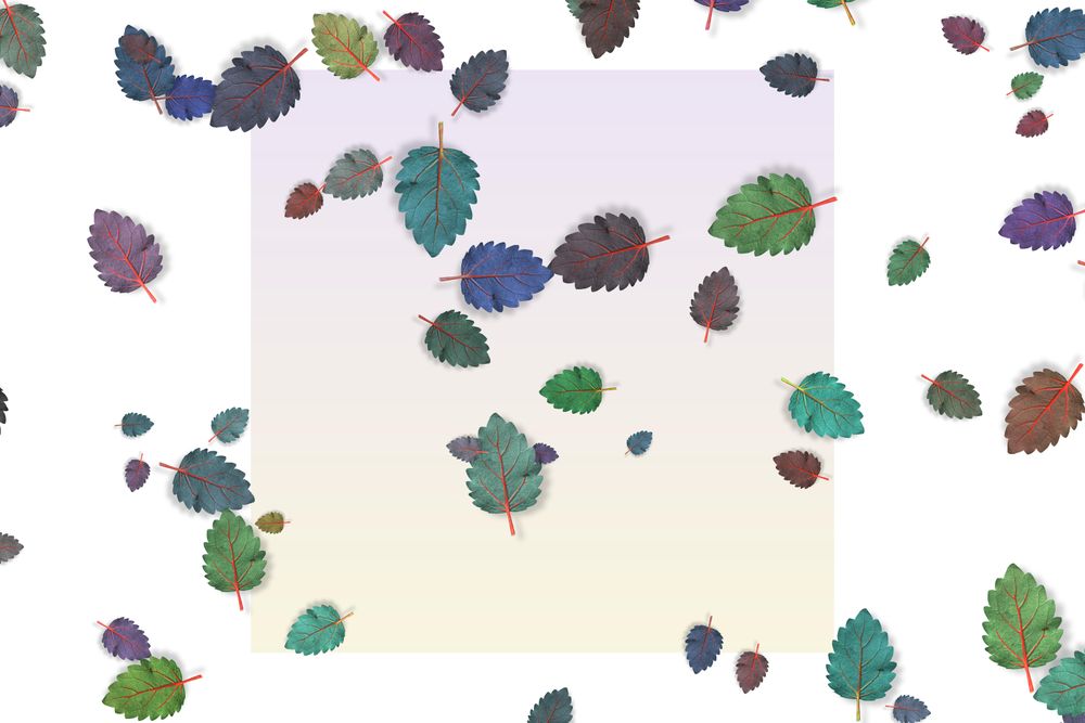 Scattered multi-colored leaves