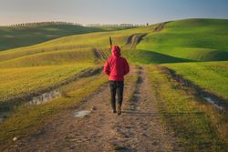 Traveling man walking on green rural road