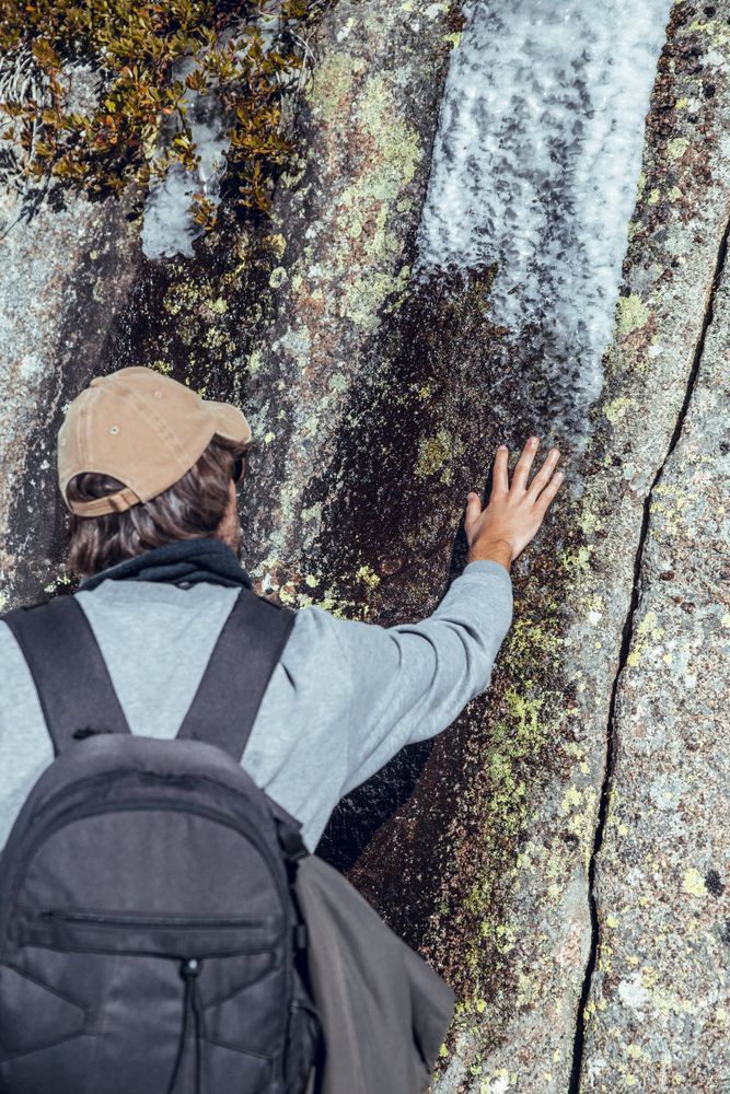 Man touching stone near trees in winter