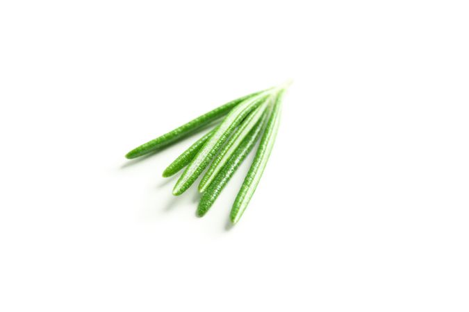 Fresh green rosemary isolated on blank background