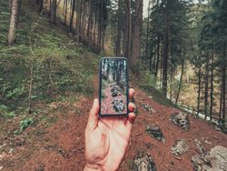 Hiker taking photo while walking in forest