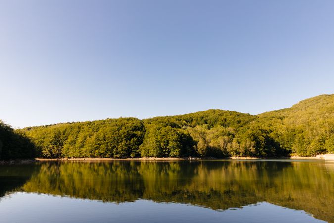 Reflections in the lake of a forest