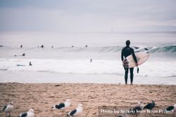 Man holding surfboard at the beach 0vWQR5