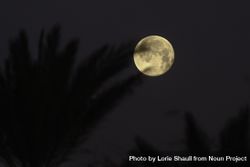 Full moon in Tucson, Arizona 5z1xg0