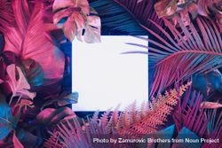 Creative fluorescent color layout made of tropical leaves with neon light square bGAnx5