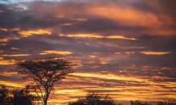 Majestic sunset sky in tropical land