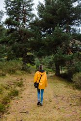 Person in yellow raincoat walking in forest