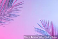 Tropical palm leaves in vibrant gradient holographic colors 5w3vm5