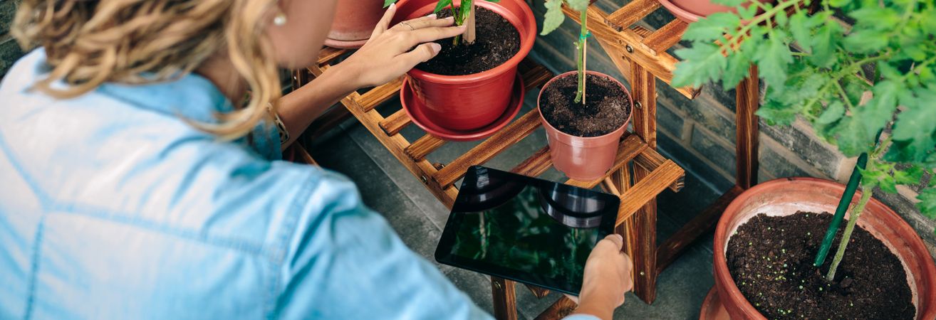 Woman using digital tablet while caring plants of urban garden on terrace