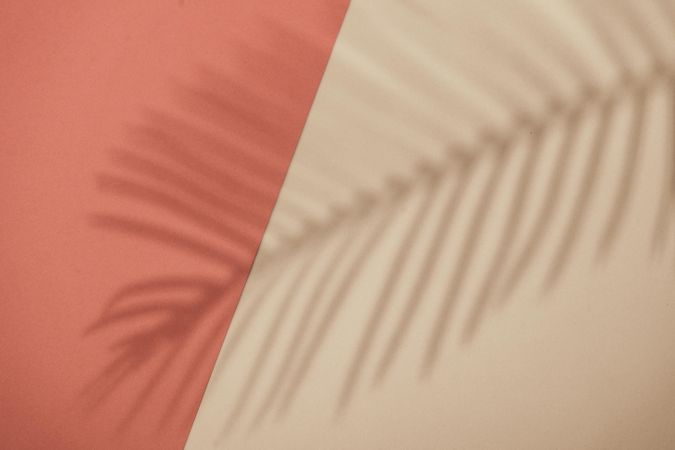 Top view of tropical leaf shadow on orange and sand color background