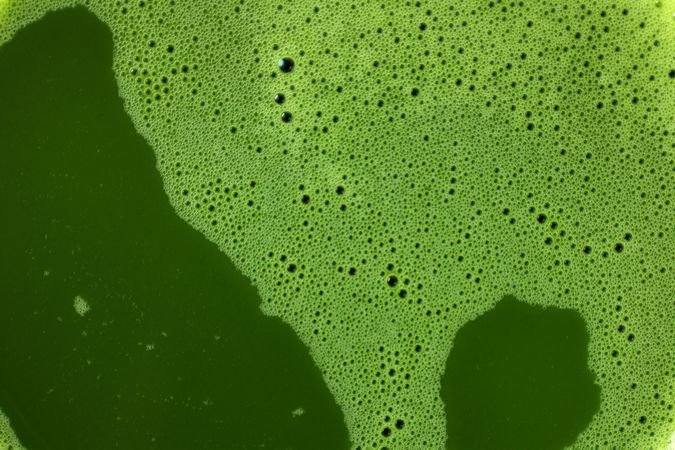 Micro Bubble Matcha after Whisking using Chasen