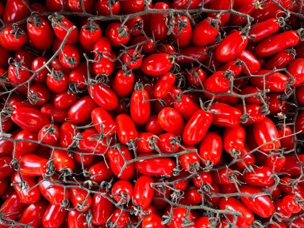 Cherry tomatoes on the vine for sale