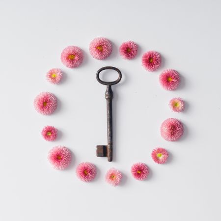 Circle of pink English daisy flowers with key on light background