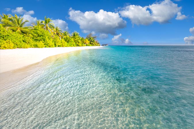 Light blue clear waters on a beach with jungle