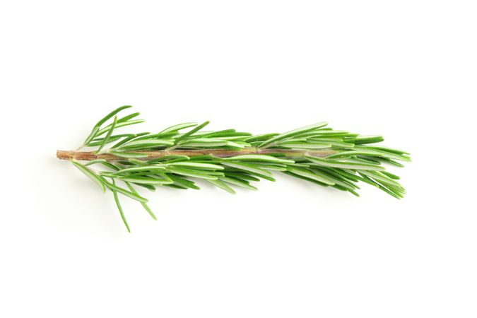 Fresh green rosemary isolated on neutral background