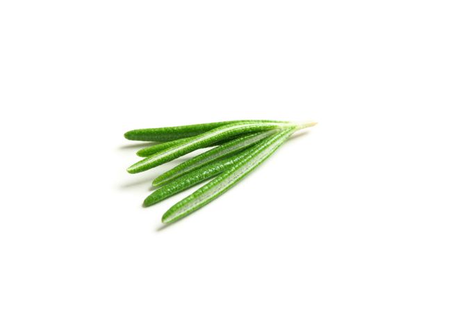 Fresh green rosemary isolated on blank background