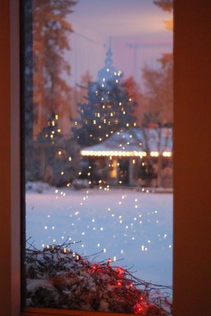 Reflection of Christmas tree lights in window of house