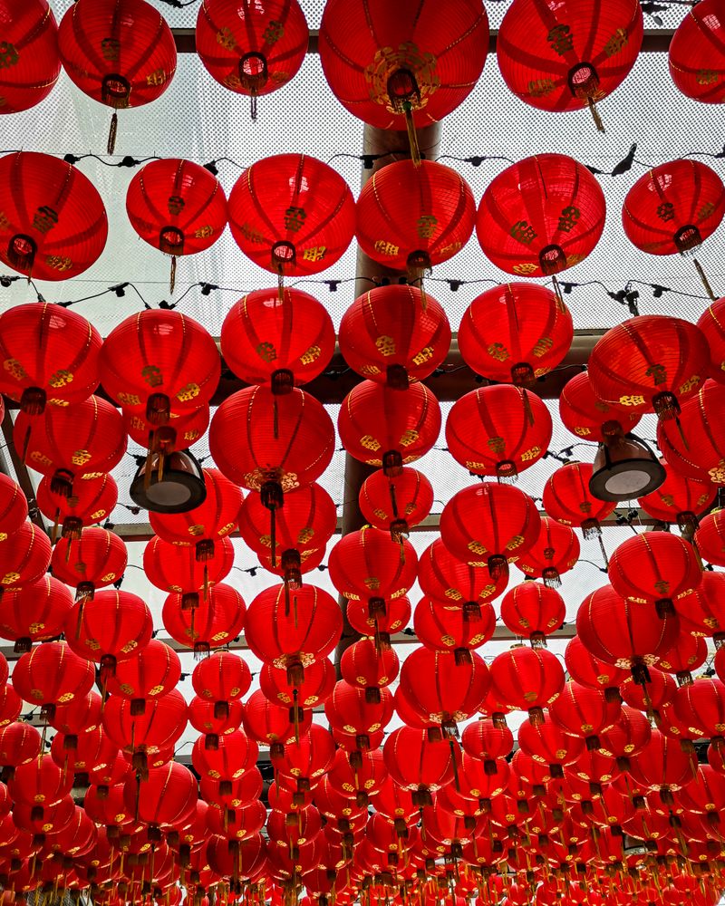 Red Chinese paper lanterns