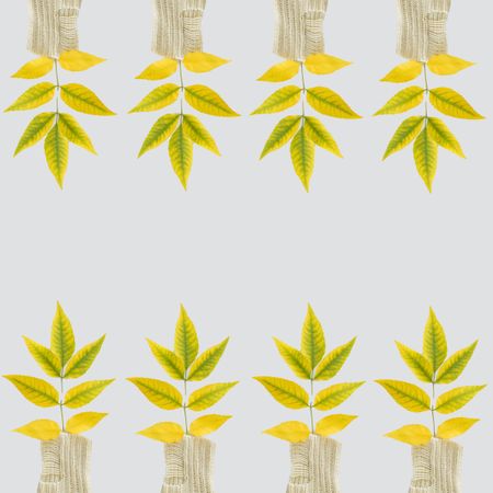 Green yellow autumn leaves pattern on a bright background