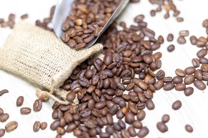 Roasted Coffee Beans