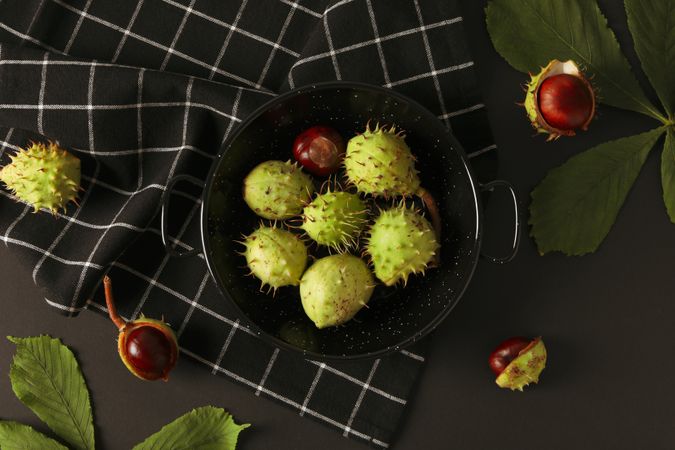 Fresh and ripe chestnuts, top view, Autumn chestnuts