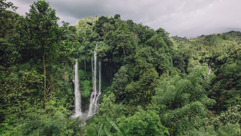 Beautiful landscape shot of waterfall in a tropical rain forest